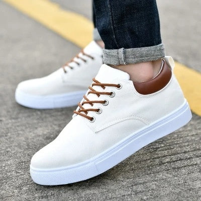 Mix and Match  men’s casual canvas shoes