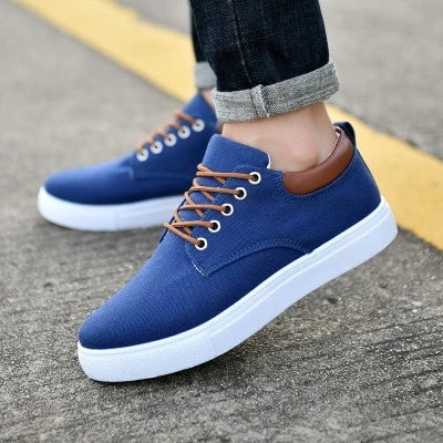 Mix and Match  men’s casual canvas shoes
